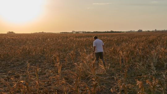 El desesperado pedido de productores agropecuarios a Javier Milei para que elimine las retenciones: «Tiene que ser ya»