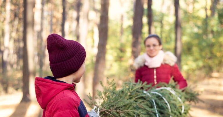 Aún quitas tu árbol de navidad? Africam Safari lanza campaña de reciclaje con cupones gratis