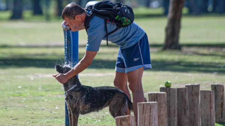 Clima hoy en Buenos Aires: el pronóstico del tiempo para el viernes 31 de enero