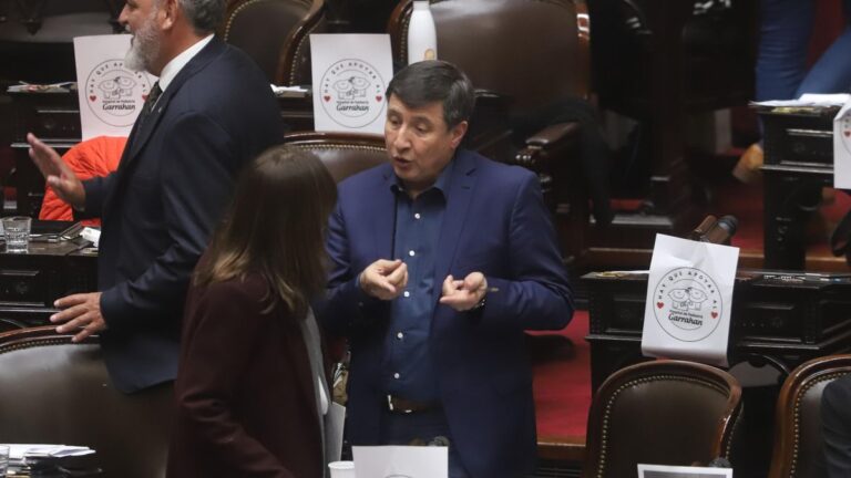 La Cámara de Diputados aprobó la ley de emergencia en discapacidad