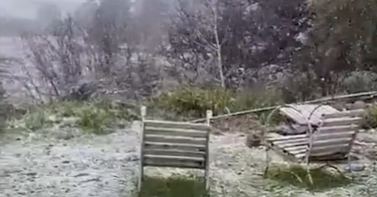 Ola de frío extremo: nieve en la provincia de Buenos Aires y aguanieve en la Ciudad y alrededores