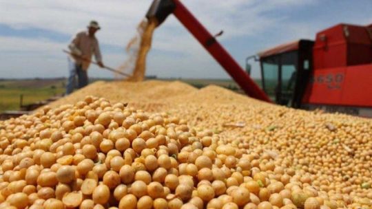 El campo advirtió por la suba de las retenciones: «Se van a quedar secos hasta noviembre»