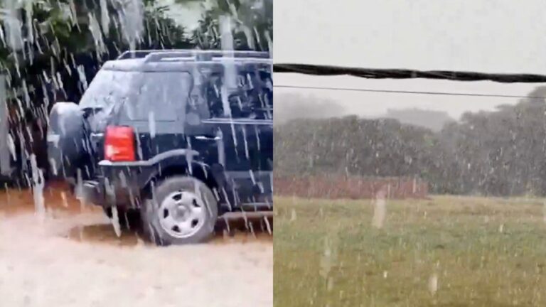 Histórica caída de nieve en Mar del Plata: en qué barrios y los impactantes videos