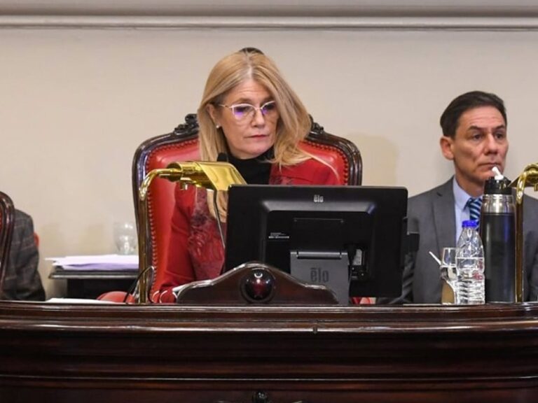 Reelección indefinida, provocadora e ilegal