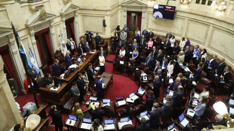 El Gobierno y un set adverso en el Senado: autocracia, internas y un tercio que se aleja
