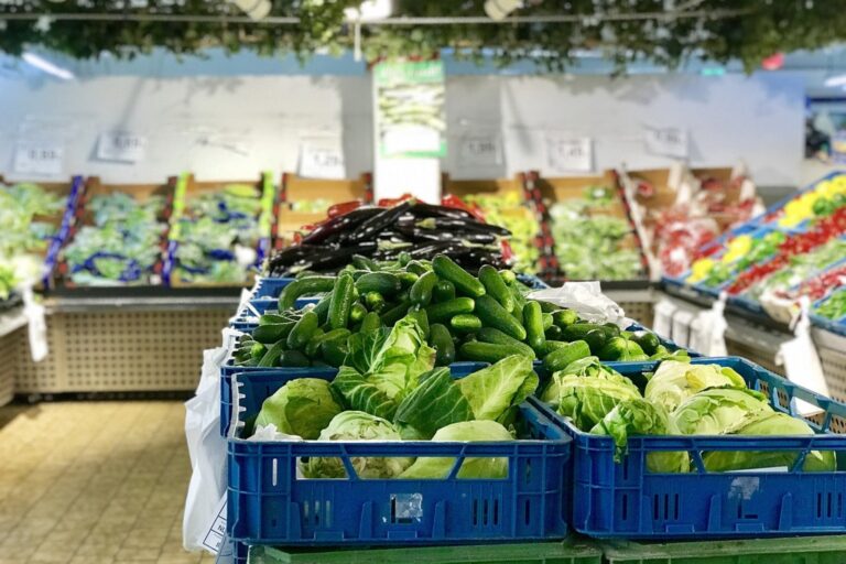 SNAP en Carolina del Norte: cuándo depositan los beneficios de agosto