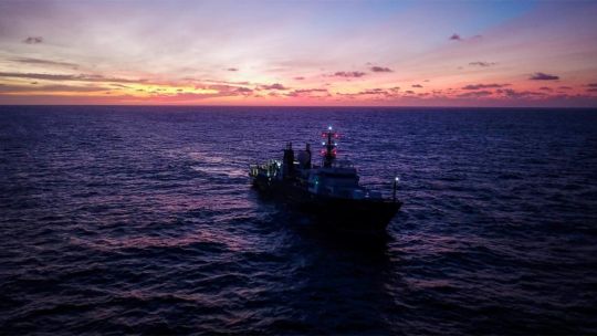 Furor por la exploración submarina del CONICET: cuáles fueron las nuevas especies que se viralizaron en redes