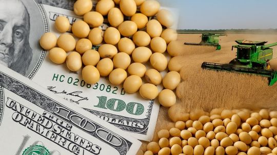 Fuerte apuesta al dólar agro