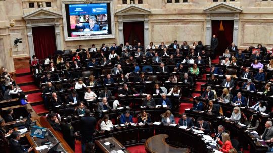 Diputados: rechazaron el veto a la emergencia en discapacidad, pero el oficialismo logró blindar los aumentos a los jubilados