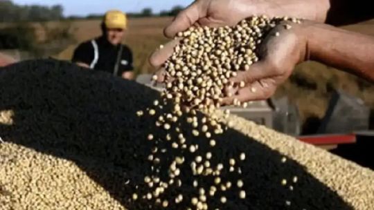 Primeras impresiones del anuncio de retenciones cero: Esto todavía está muy verde, hay que leer la letra chica