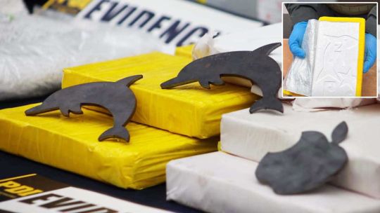 La marca del delfín: la huella de un imperio narco que sigue operando desde las sombras