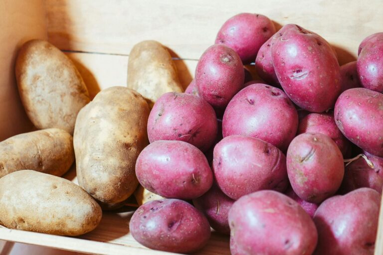 Patatas moradas y rojas: por qué el color es el factor más importante para la salud según una experta de Florida
