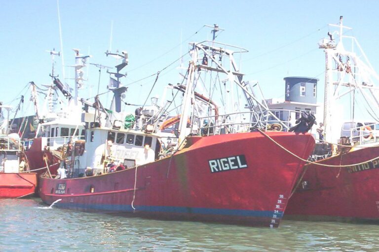 Buques pesqueros en el puerto de Mar del Plata, sector afectado por el aumento del precio del gasoil.