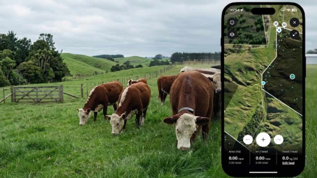 Collar inteligente con GPS para ganado de la startup Halter, utilizado para crear cercas virtuales