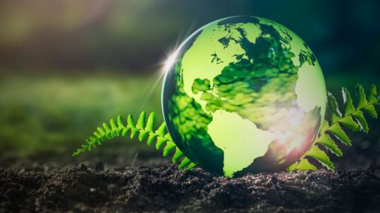 Globo terráqueo sostenido por manos, símbolo del Día de la Tierra y la responsabilidad ambiental.