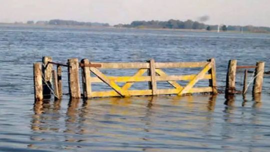 Campo de soja con suelo anegado por exceso de lluvias