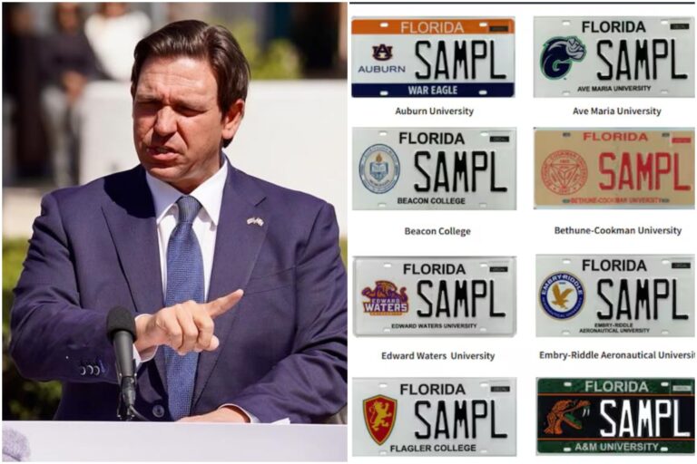 Ejemplo ilustrativo de una placa de automóvil del estado de Florida con un diseño especial.