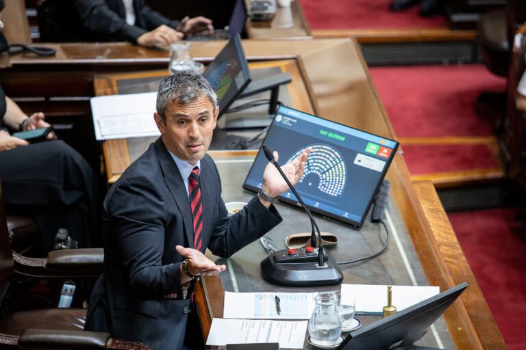 Sesión del Congreso argentino con diputados debatiendo sobre las PASO