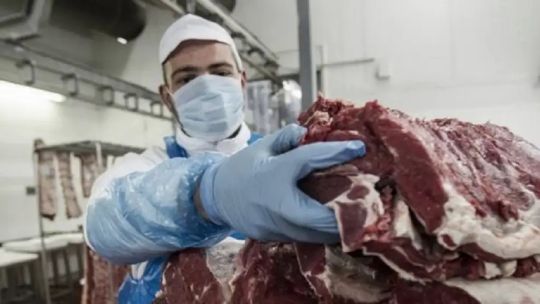 Gráfico que muestra la evolución del precio de la carne vacuna y su consumo per cápita en Argentina.