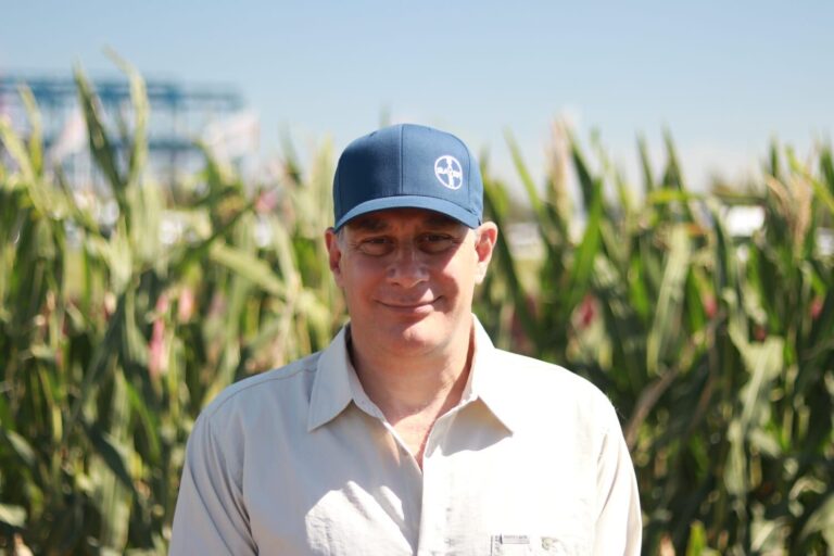 Campo de maíz con tecnología agrícola