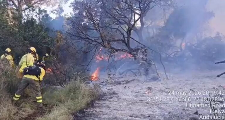 Bomberos forestales trabajan en la extinción de un incendio en el Parque Natural de Doñana