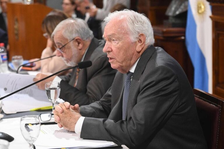 Carlos Mahiques, camarista federal, durante una sesión en el Senado