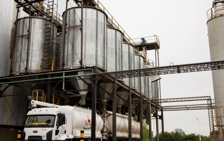 Planta avícola de Granja Tres Arroyos con pollos en proceso de faena