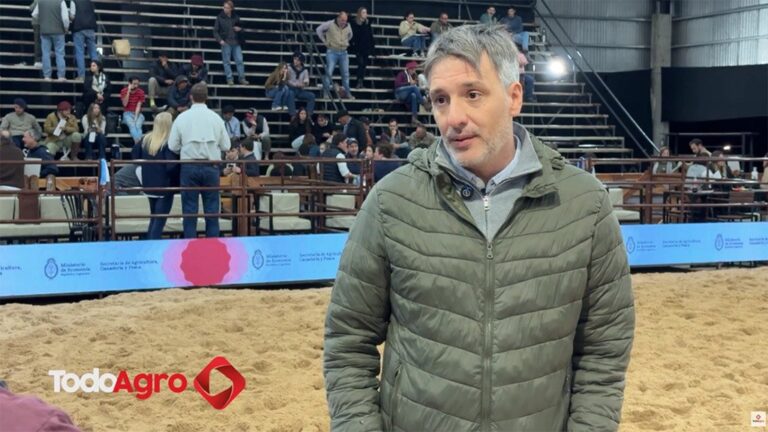 Ternero premiado de la marca Pilagá en exposición ganadera