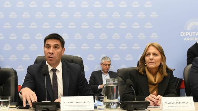 Secretaria de Energía María Carmen Tettamanti en el plenario de Diputados