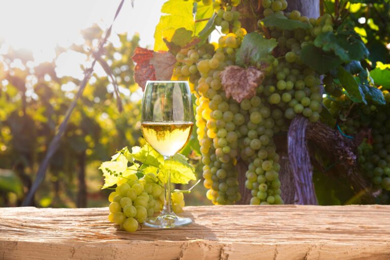 Copa de vino Sauvignon Blanc junto a una botella y uvas blancas