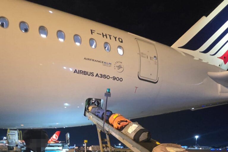 Paquetes de cocaína incautados por la Aduana en el Aeropuerto de Ezeiza