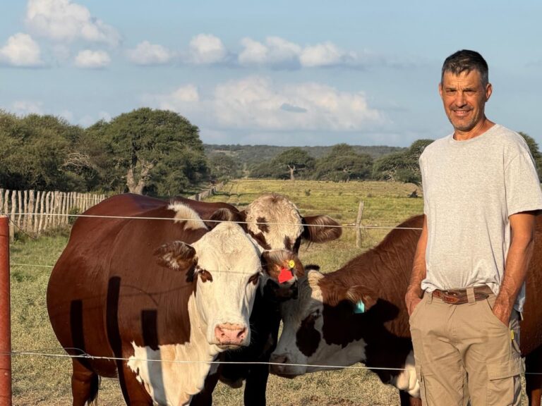 Vista del campo La Florida en Luan Toro, La Pampa, con pastizal natural y alambrado eléctrico