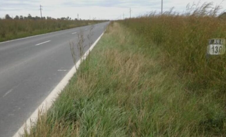 Ruta en Uruguay con paisaje serrano