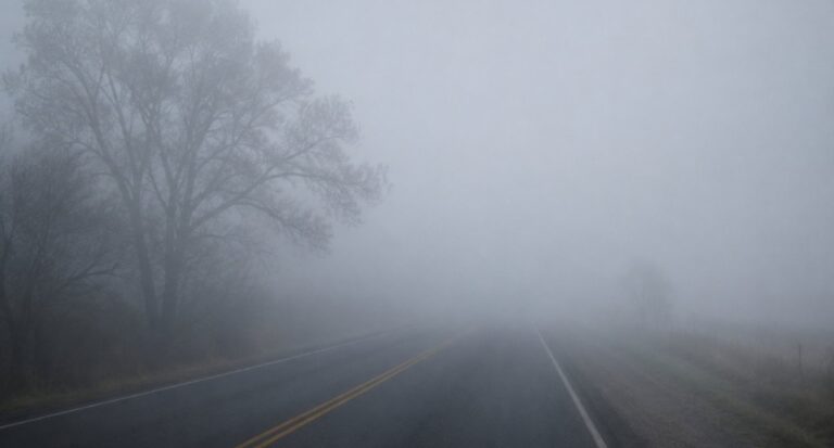 Niebla densa en el Área Metropolitana de Buenos Aires