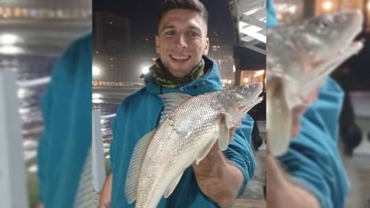 Burriquetas en la costa bonaerense