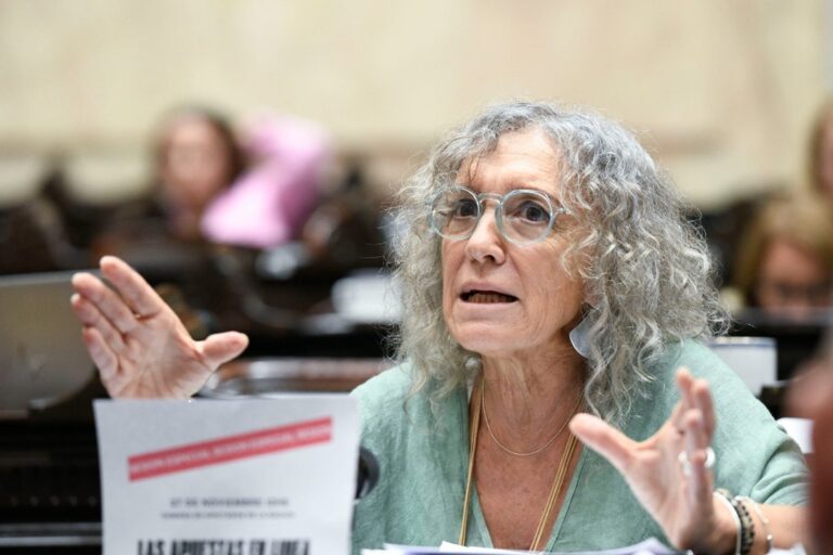 Diputada Mónica Frade en conferencia de prensa