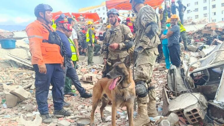 Perro Bart durante el rescate de dos menores en Venezuela