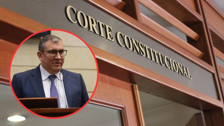 Sala Plena de la Corte Constitucional de Colombia