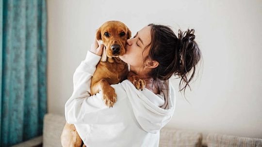 Persona sosteniendo un perro en sus brazos, en un hogar argentino