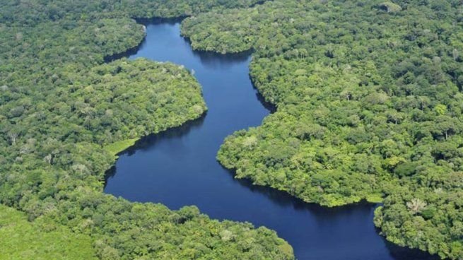 Imagen satelital de la Amazonia brasileña con áreas quemadas en 2025