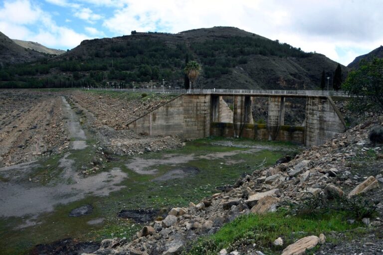 Gráfico de niveles de agua en embalses españoles julio 2026