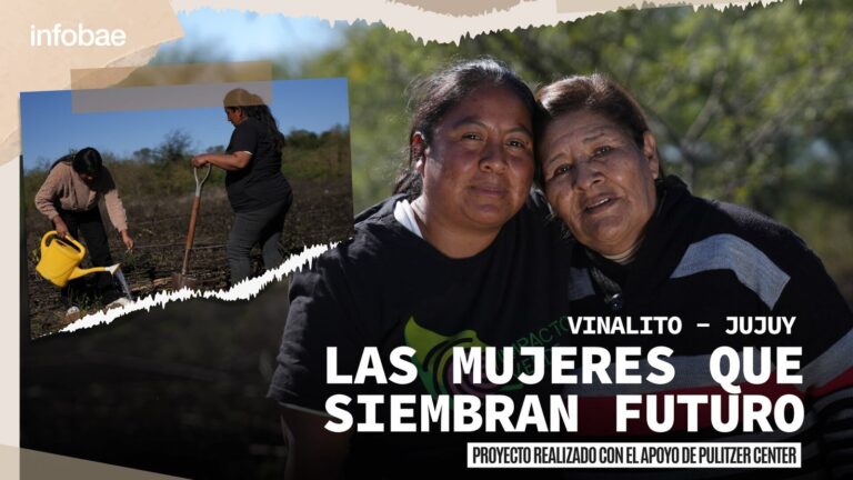 Mujeres de la Cooperativa Fraile Pintado en Vinalito, Jujuy, junto a plantines de algarrobo en un vivero