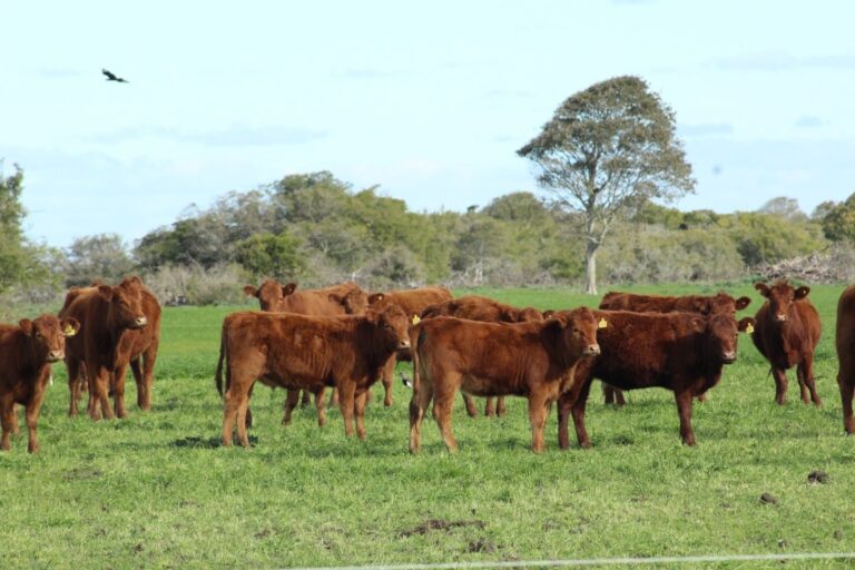 Productores agropecuarios en una reunión en La Pampa