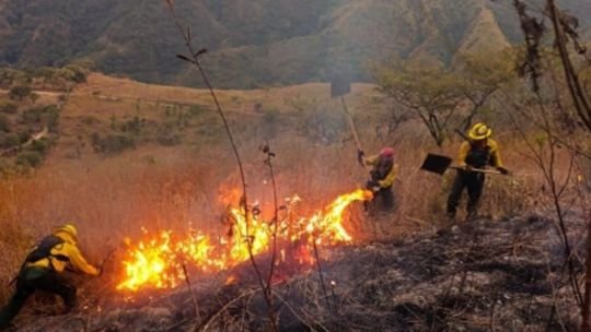 Imagen ilustrativa de incendio forestal en Cafayate, Salta