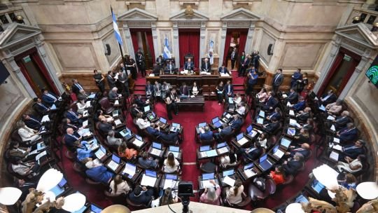 Senadores de La Libertad Avanza en el recinto del Senado