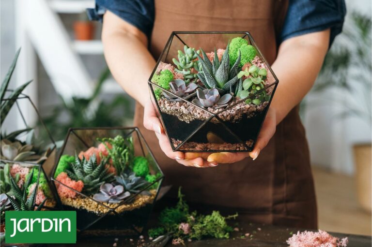 Terrario cerrado con musgo y plantas tropicales en un frasco de vidrio