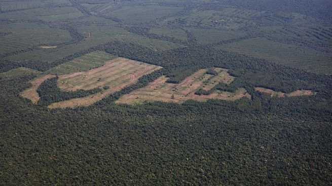 Mapa de Brasil mostrando áreas de vegetación nativa y uso del suelo