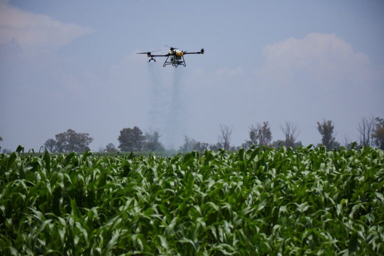 Campo experimental del Tec de Monterrey en Querétaro con tecnología agrícola