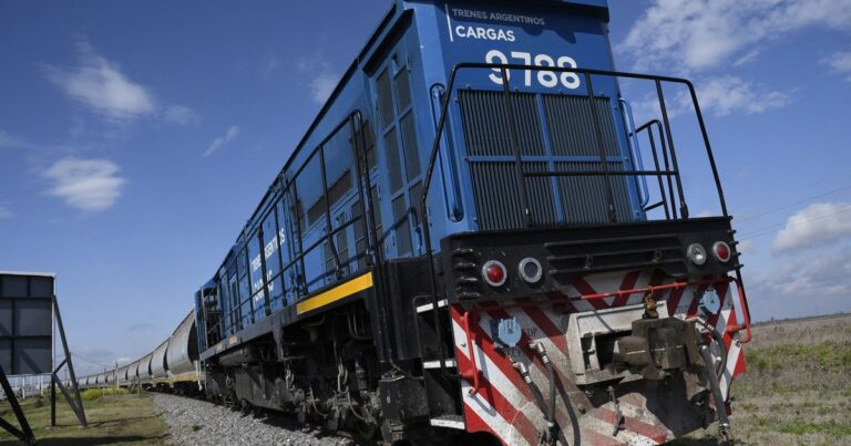 Tren de carga en una de las líneas ferroviarias argentinas