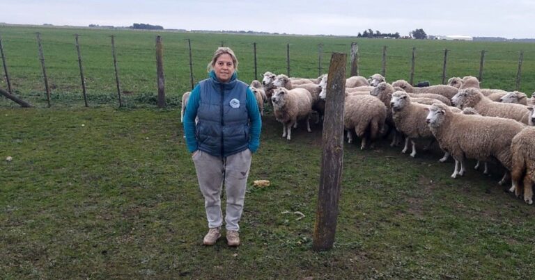 Campo en Necochea con ovejas